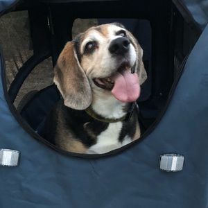 Meet your Posher, Valerie